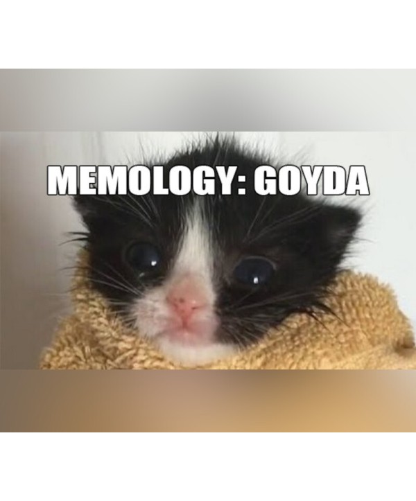 MEMOLOGY: GOYDA Steam Key EUROPE